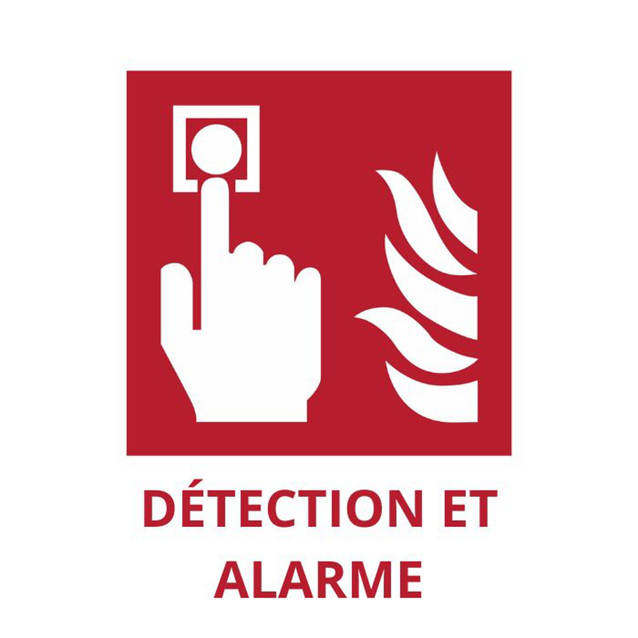 deteccionyalarma